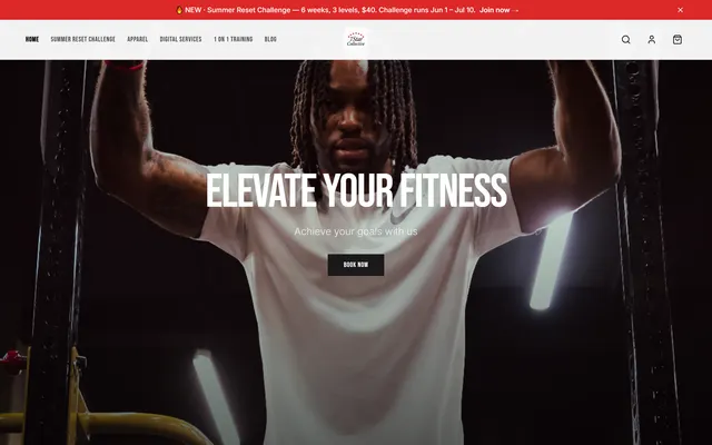 7 Star Collective homepage